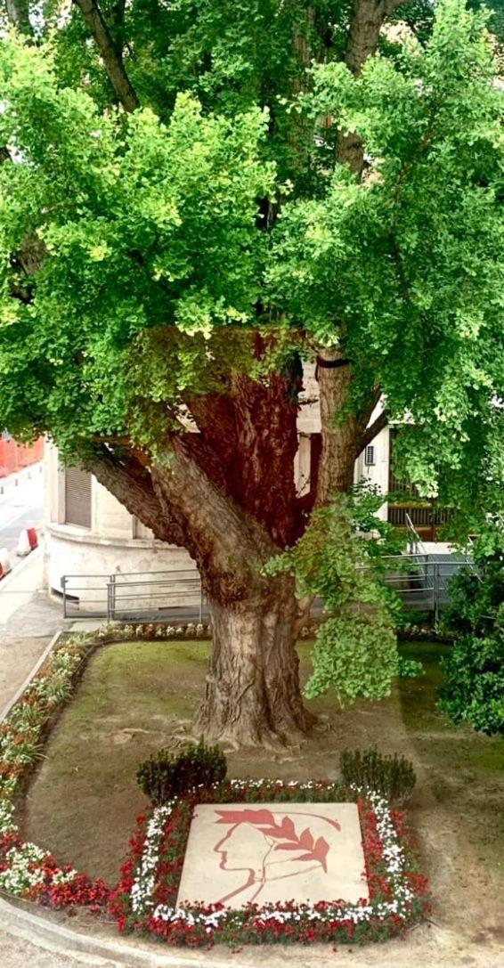 Ravenna Suite Екстер'єр фото